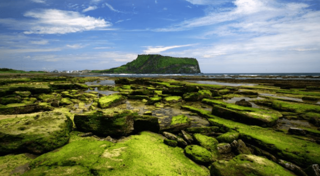 Jeju Island